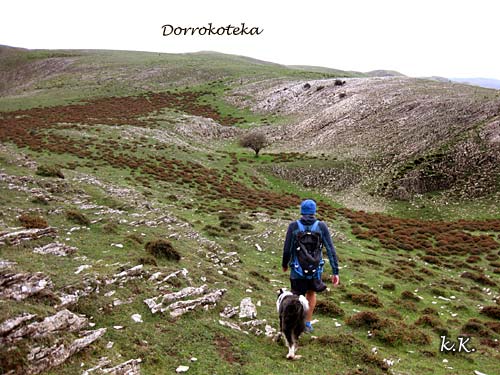 Camino a Dorrokoteka